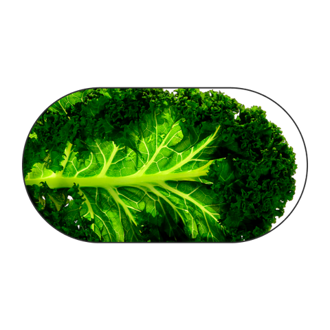 Cabbage